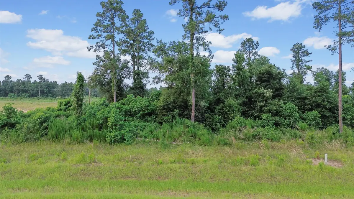 3108 Road 5913, Cleveland, TX 77327 - #1