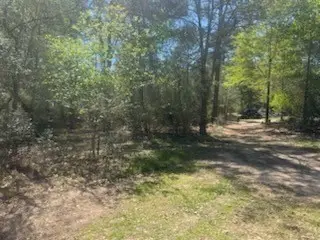 16442 Whippoorwill Road, Navasota, TX 77868 - #3