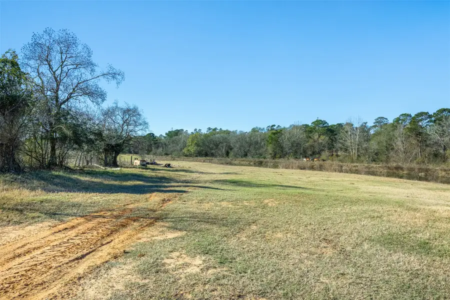 10802 County Road 203, Plantersville, TX 77363 - Image #3