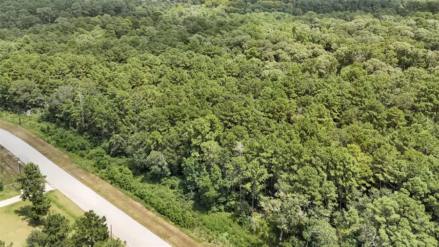 7-23-66 Sky Oak Lane, Huntsville, TX 77340 - Image #3