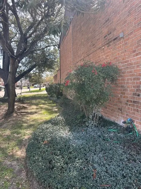 5921 Arncliffe Drive #5921, Houston, TX 77088 - #2