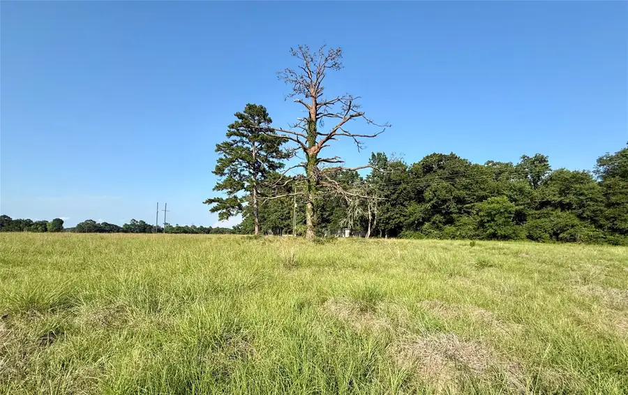 TBD Hot Springs Drive, Trinity, TX 75862 - #2