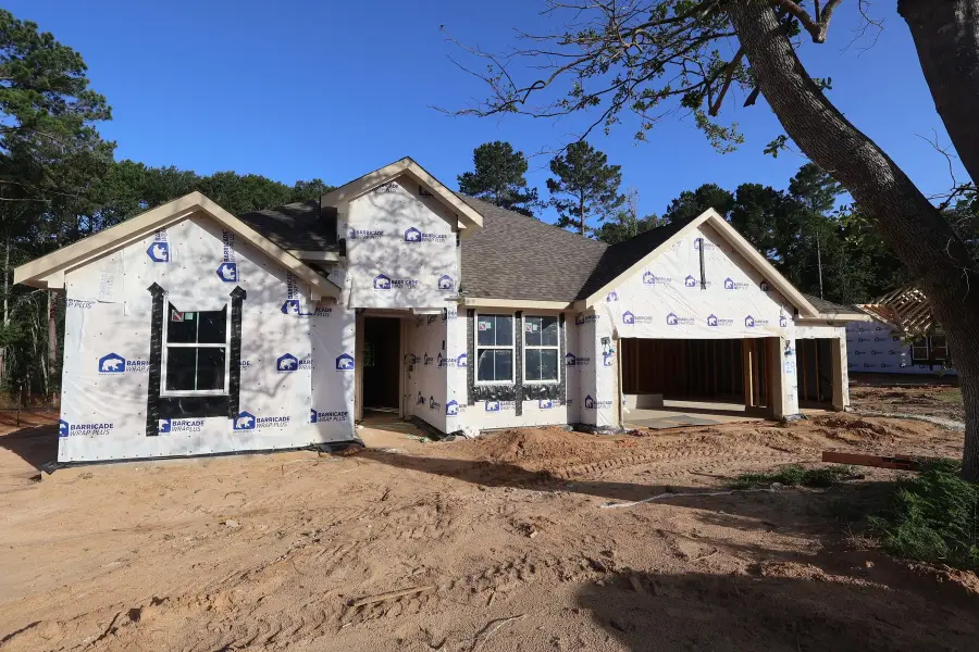 129 Roebuck Lane, New Waverly, TX 77358 - #2