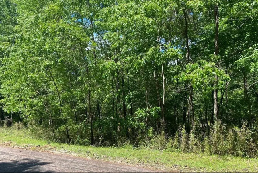 43 Shetland Lane, Coldspring, TX 77331 - #3