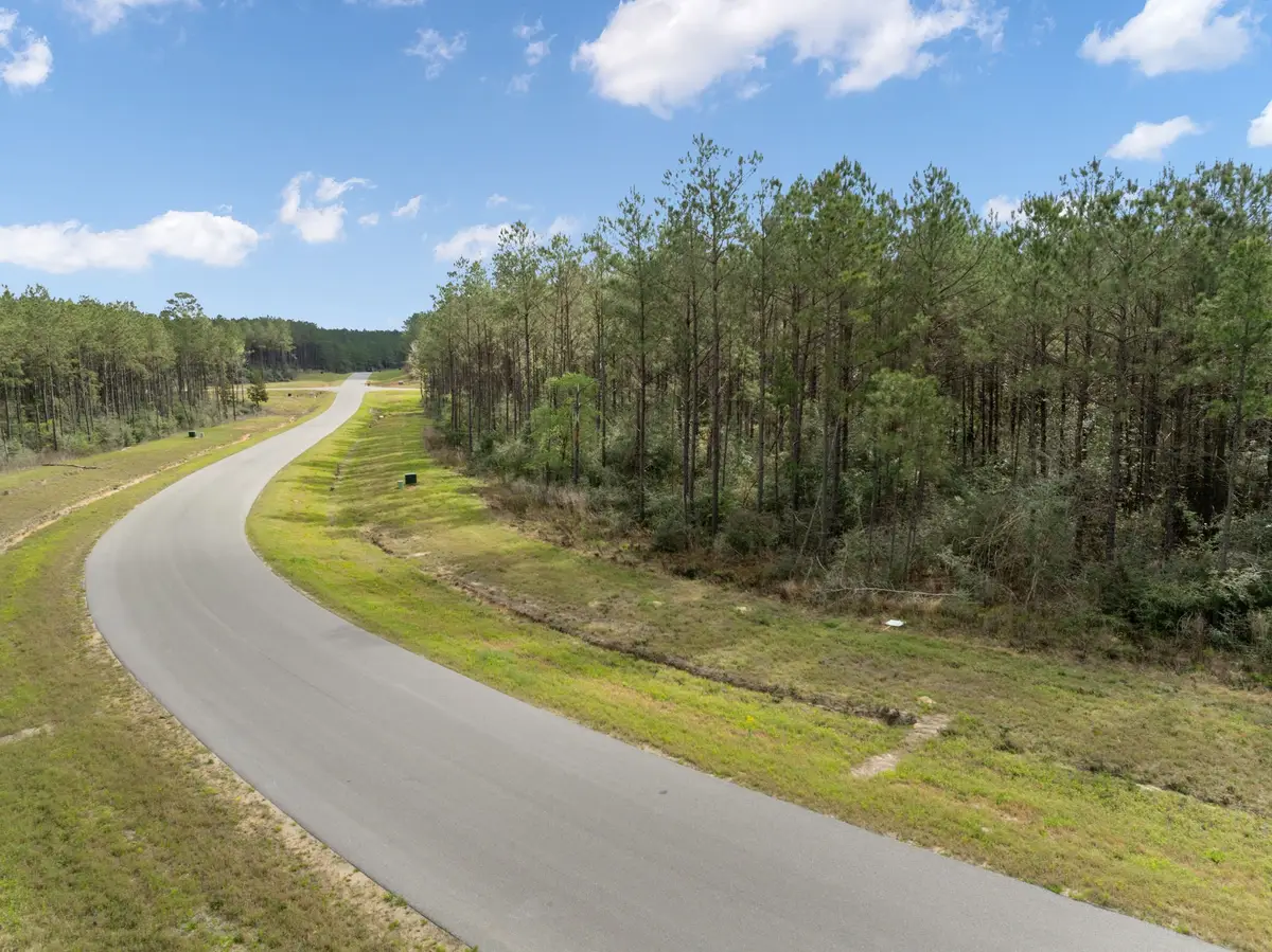 16039 Forest Mill Road, Willis, TX 77378 - #1