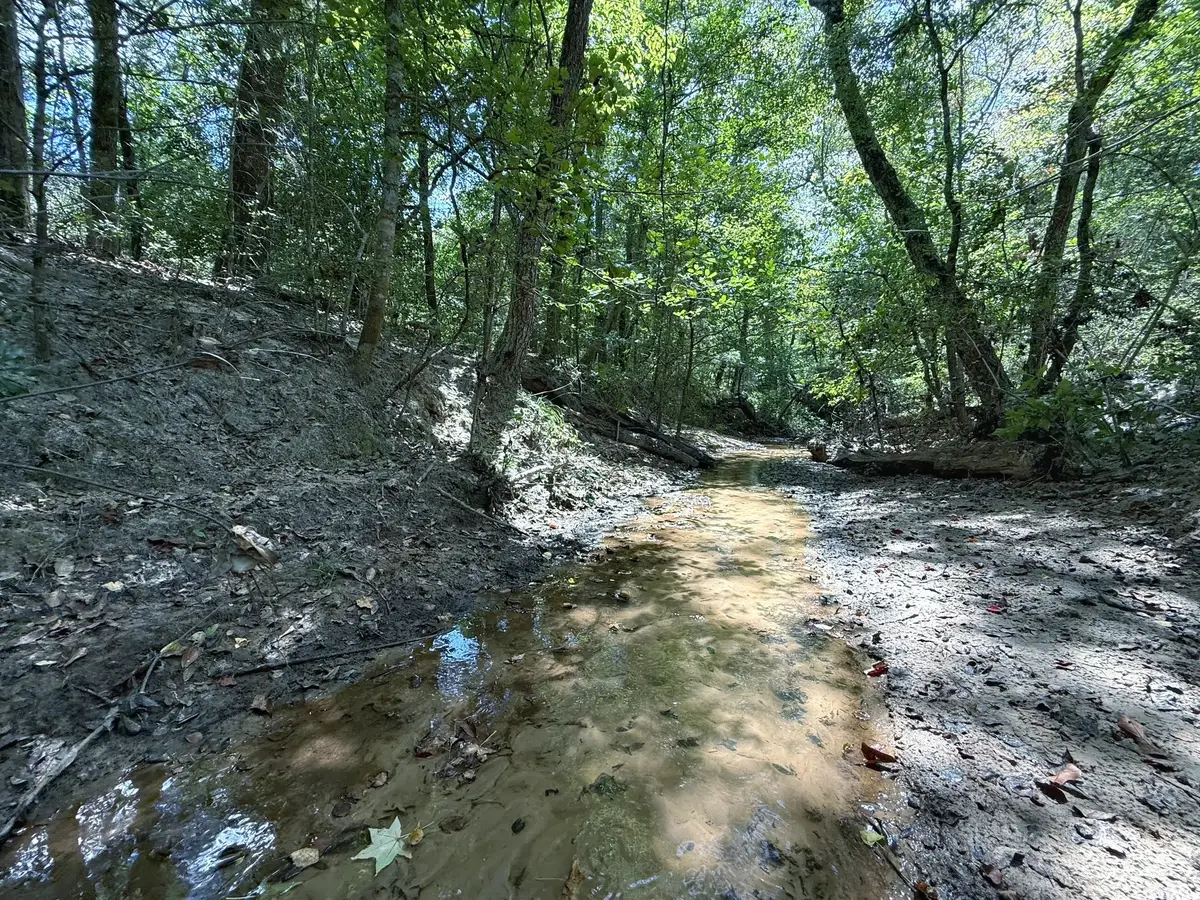40 ac Pr 2190, Buffalo, TX 75831 - #1