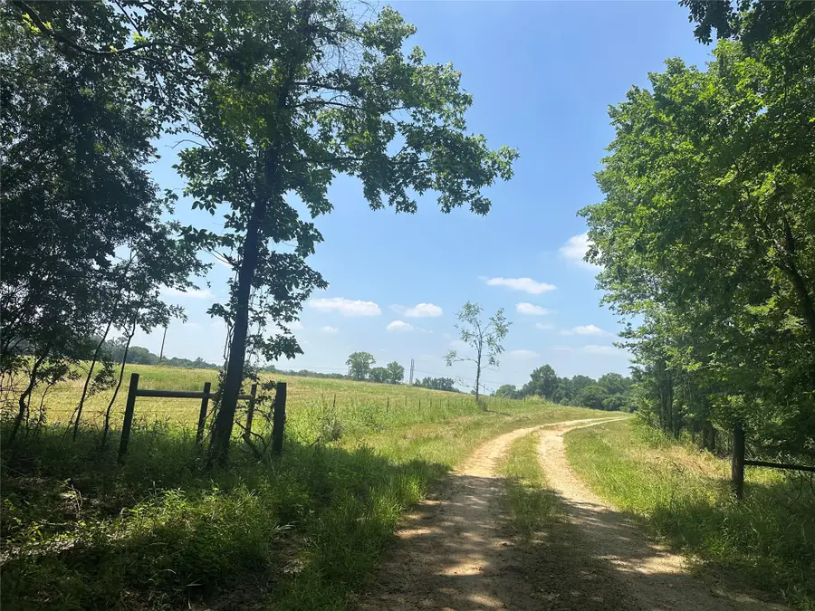 123AC Cr 234, Oakwood, TX 75855 - #2