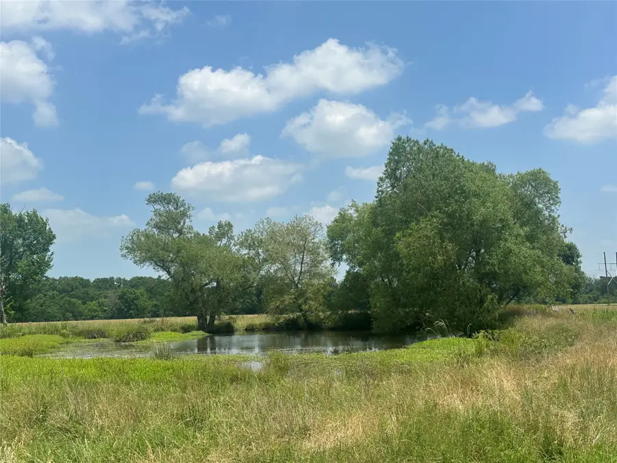 123AC Cr 234, Oakwood, TX 75855 - #3