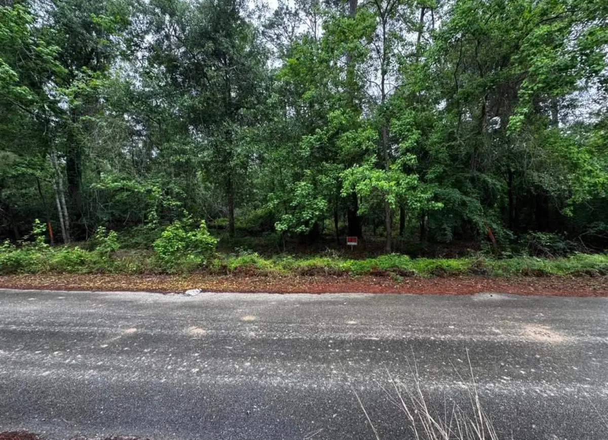 0 Lakelane Drive, Houston, TX 77338 - #1