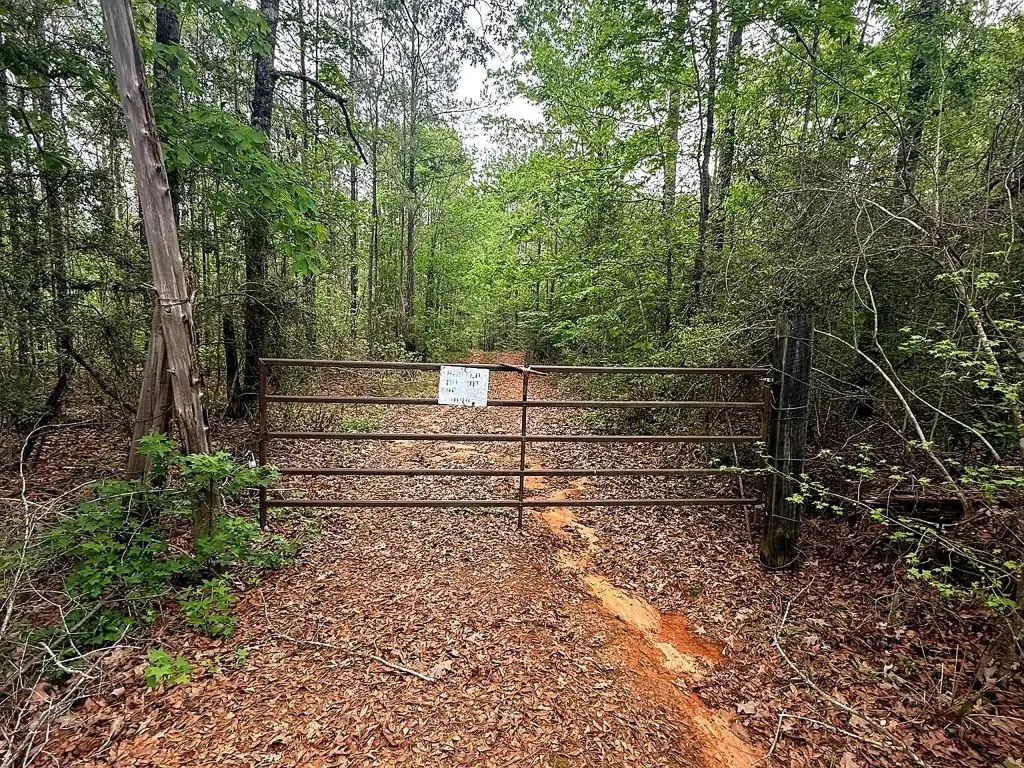 tbd Peyton Lane, Woodville, TX 75979 - #1