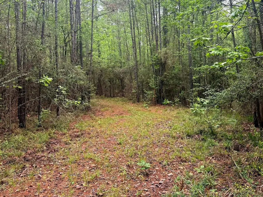 tbd Peyton Lane, Woodville, TX 75979 - #3