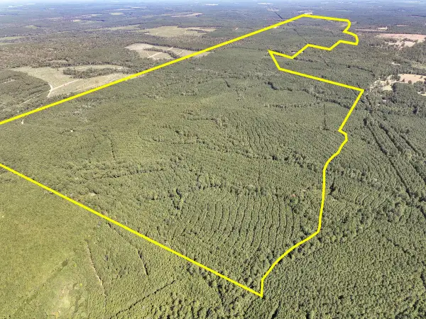 T-1 Cr 2150, Woodville, TX 75979