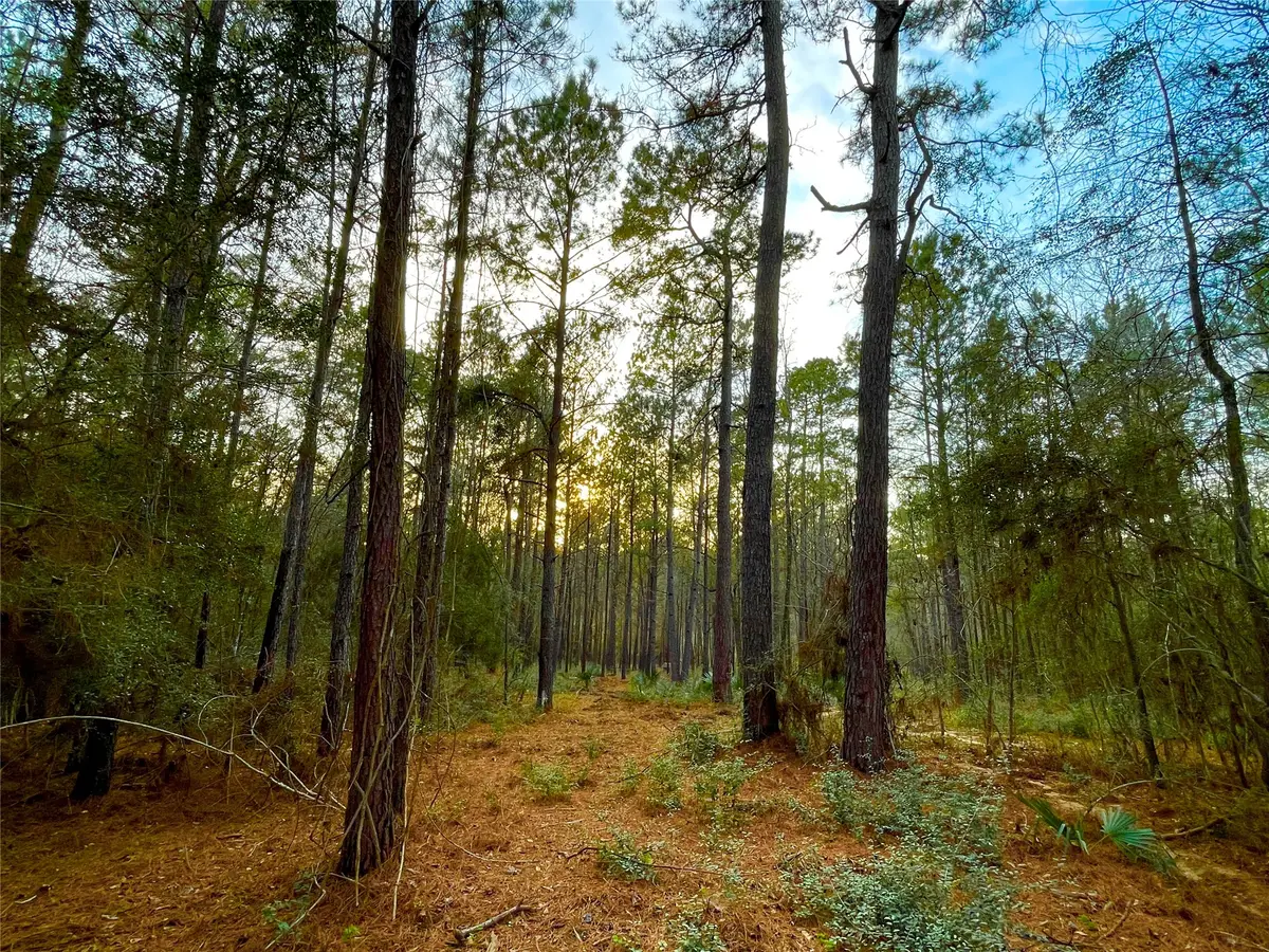 1-1-31 Texas Grand Road, Huntsville, TX 77340 - #1