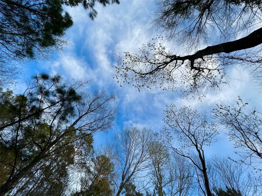 1-1-31 Texas Grand Road, Huntsville, TX 77340 - #3