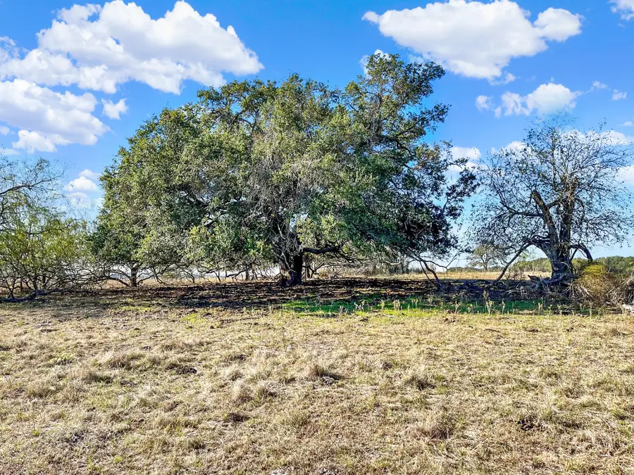 10889 Seydler Road, La Grange, TX 78945 - Image #3