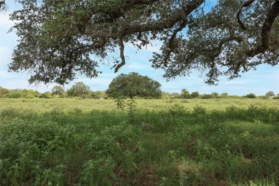 TBD Cr 212 - Tract 5, Hallettsville, TX 77964 - Image #3