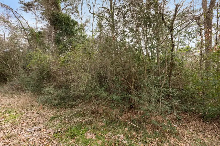 Lot 47 Sunset Drive, Livingston, TX 77351 - #2