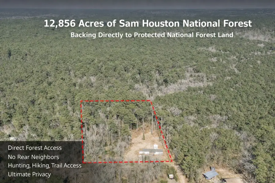 99 Fawn Drive, New Waverly, TX 77358 - #2