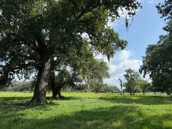 0 County Road 153 Sims Ave Road, Cedar Lane, TX 77415