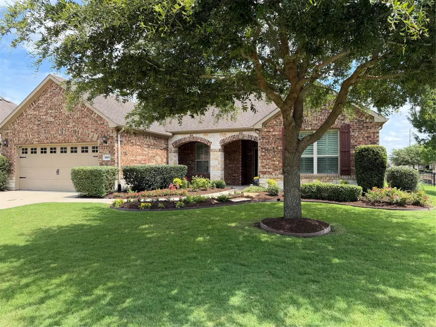 3927 Grand Fir Court, Richmond, TX 77469 - #3
