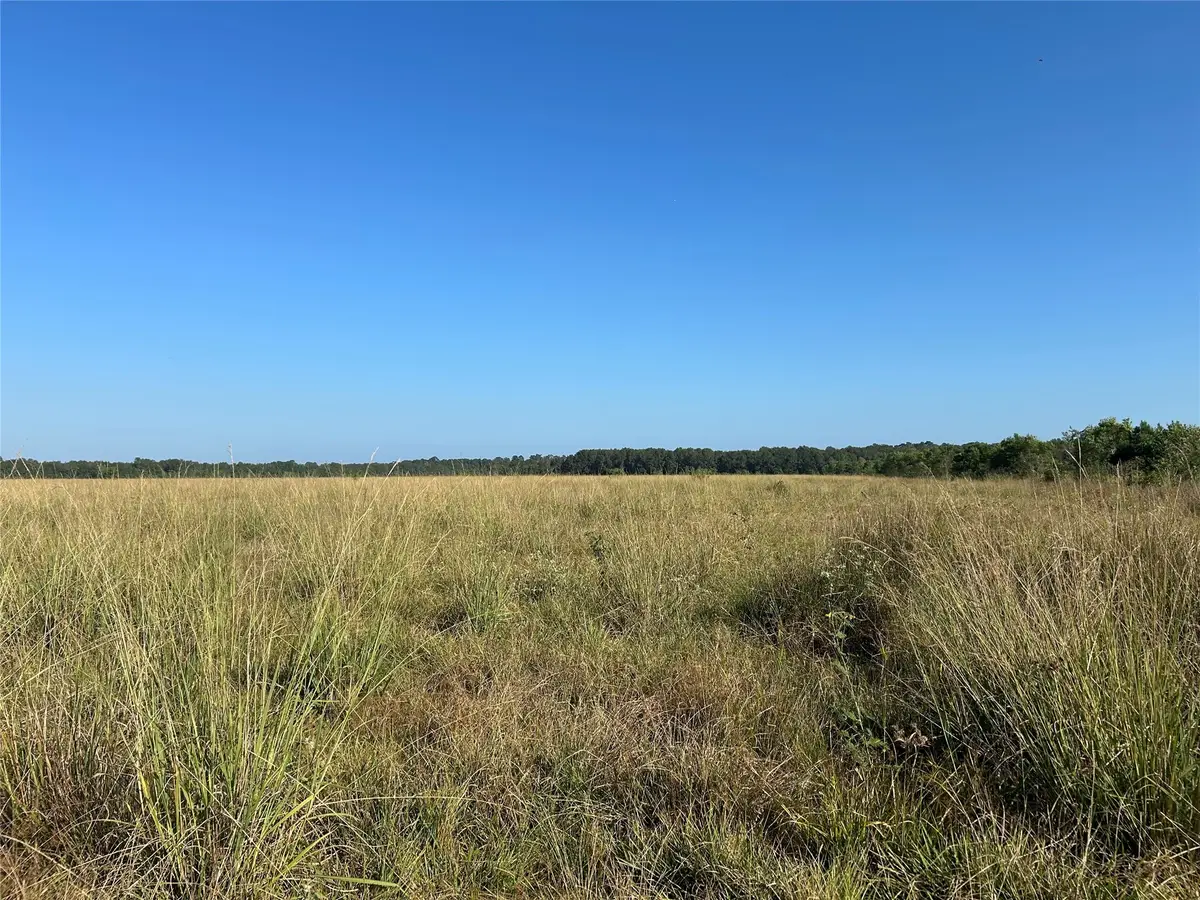 Lot 3 Minnie West Drive, Hull, TX 77564 - #1
