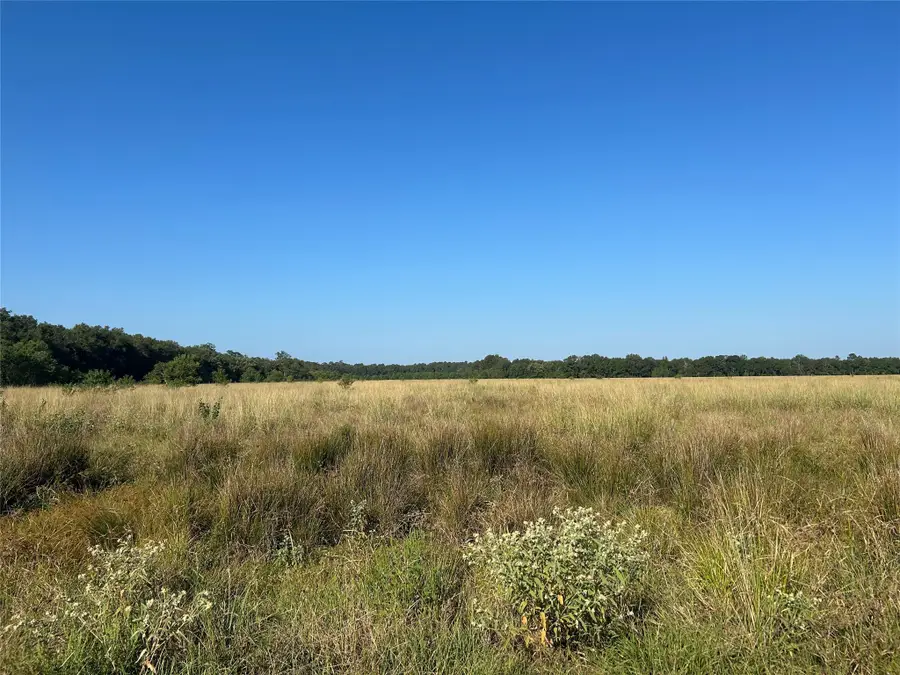 Lot 3 Minnie West Drive, Hull, TX 77564 - #2