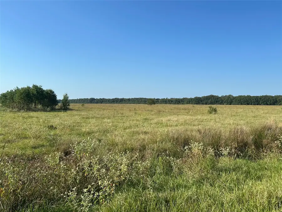 Lot 3 Minnie West Drive, Hull, TX 77564 - #3