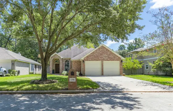 12506 Lakeview Drive, Montgomery, TX 77356