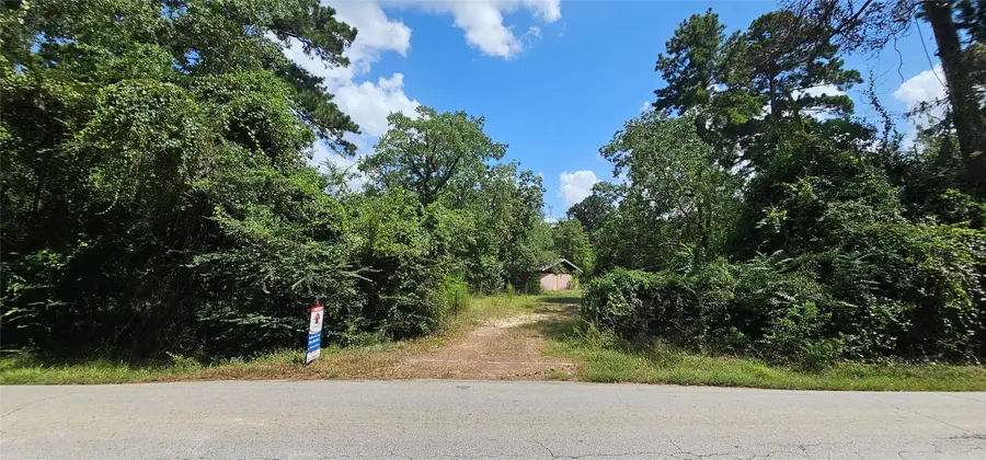 14019 Stagecoach Road, Stagecoach, TX 77355 - #3