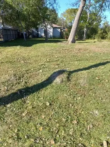 3107 Lelia Street, Houston, TX 77026