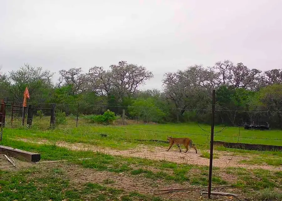 10423 State Highway 21 W, Crockett, TX 75835 - #2
