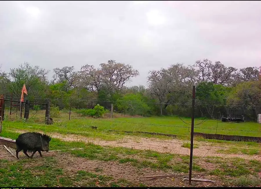 10423 State Highway 21 W, Crockett, TX 75835 - #3