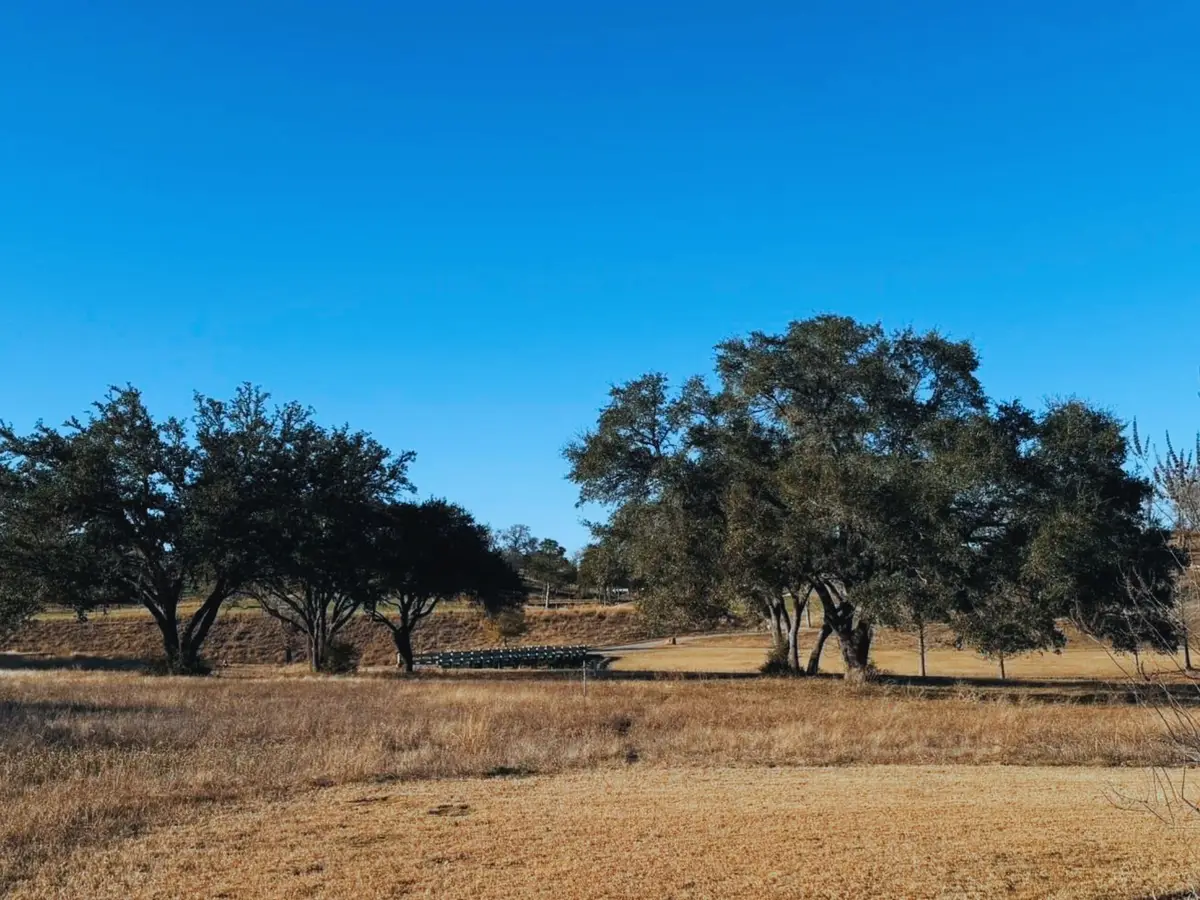 111 Mallard Lane, Columbus, TX 78934 - #1