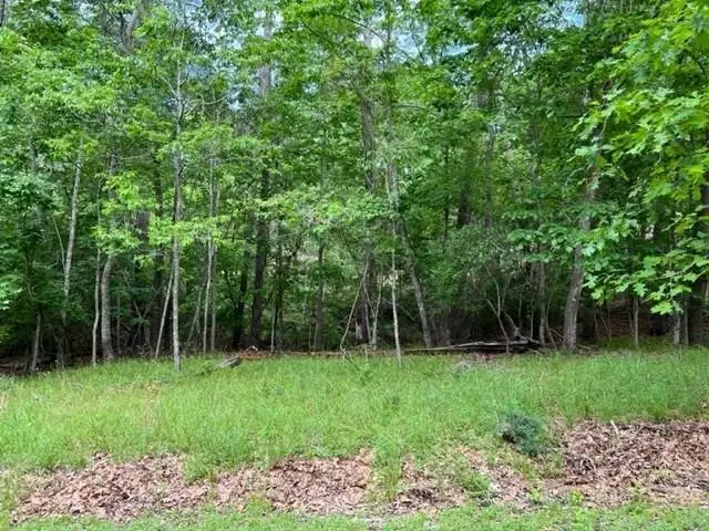 10 Castaway Lane, Coldspring, TX 77331 - Image #2