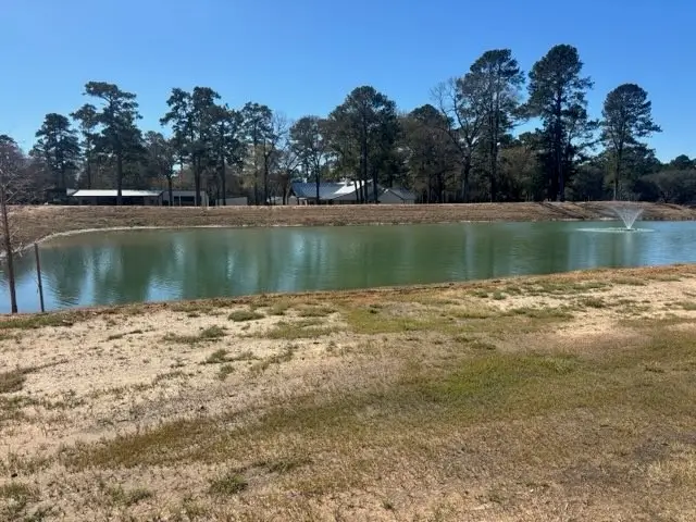 213 Hidden Oak Drive, Hockley, TX 77447 - #3