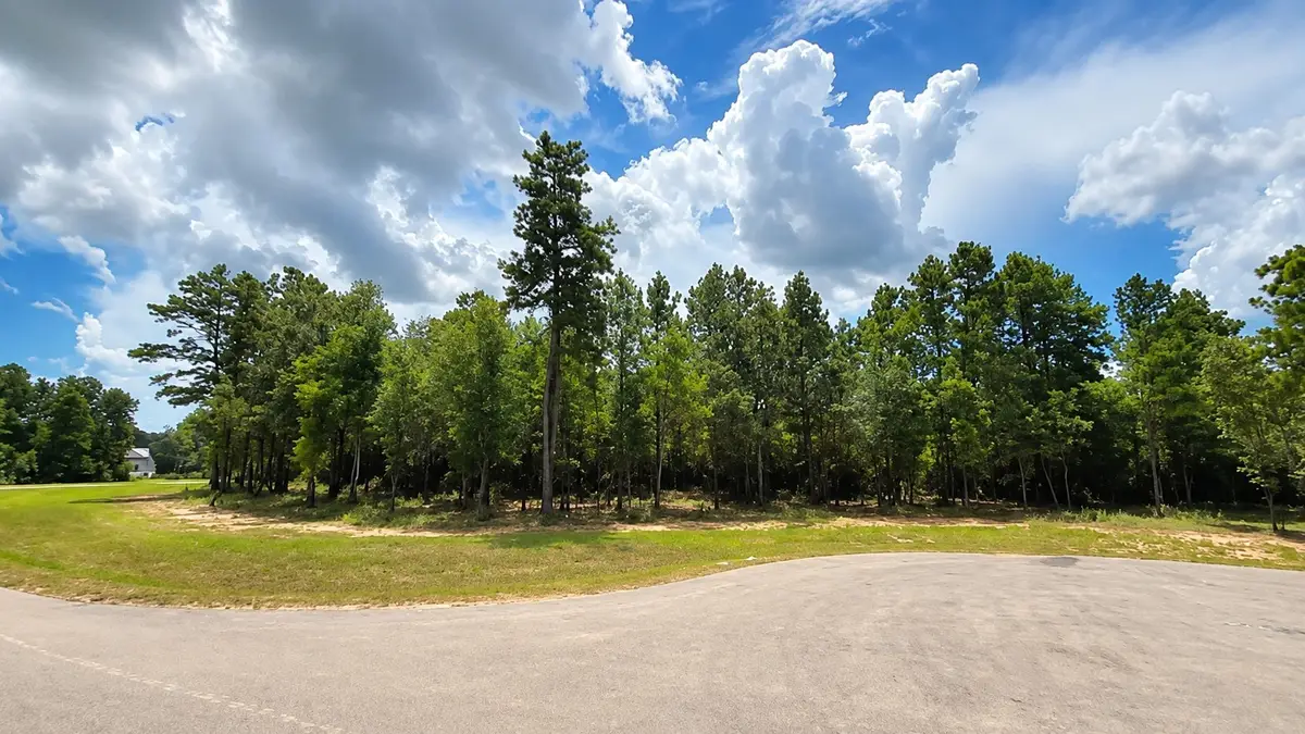 7625 Trinity Pines Dr, Montgomery, TX 77316 - #1