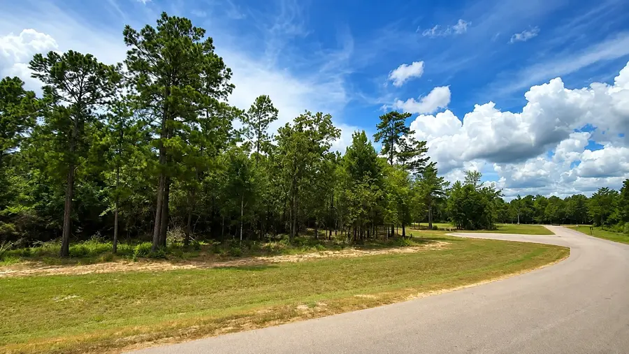 7625 Trinity Pines Dr, Montgomery, TX 77316 - #2