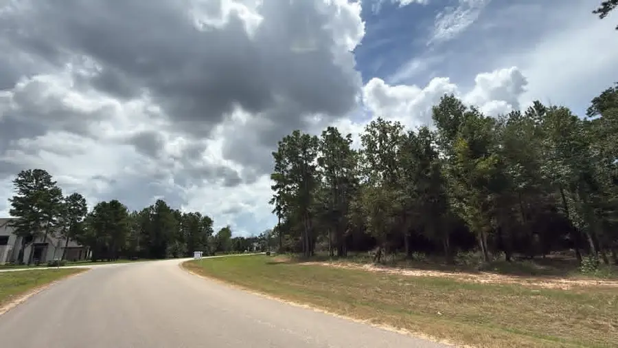 7625 Trinity Pines Dr, Montgomery, TX 77316 - #3