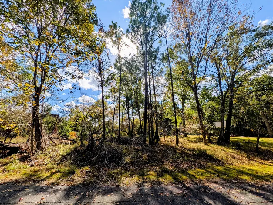 11 Castaway Lane, Coldspring, TX 77331 - Image #3