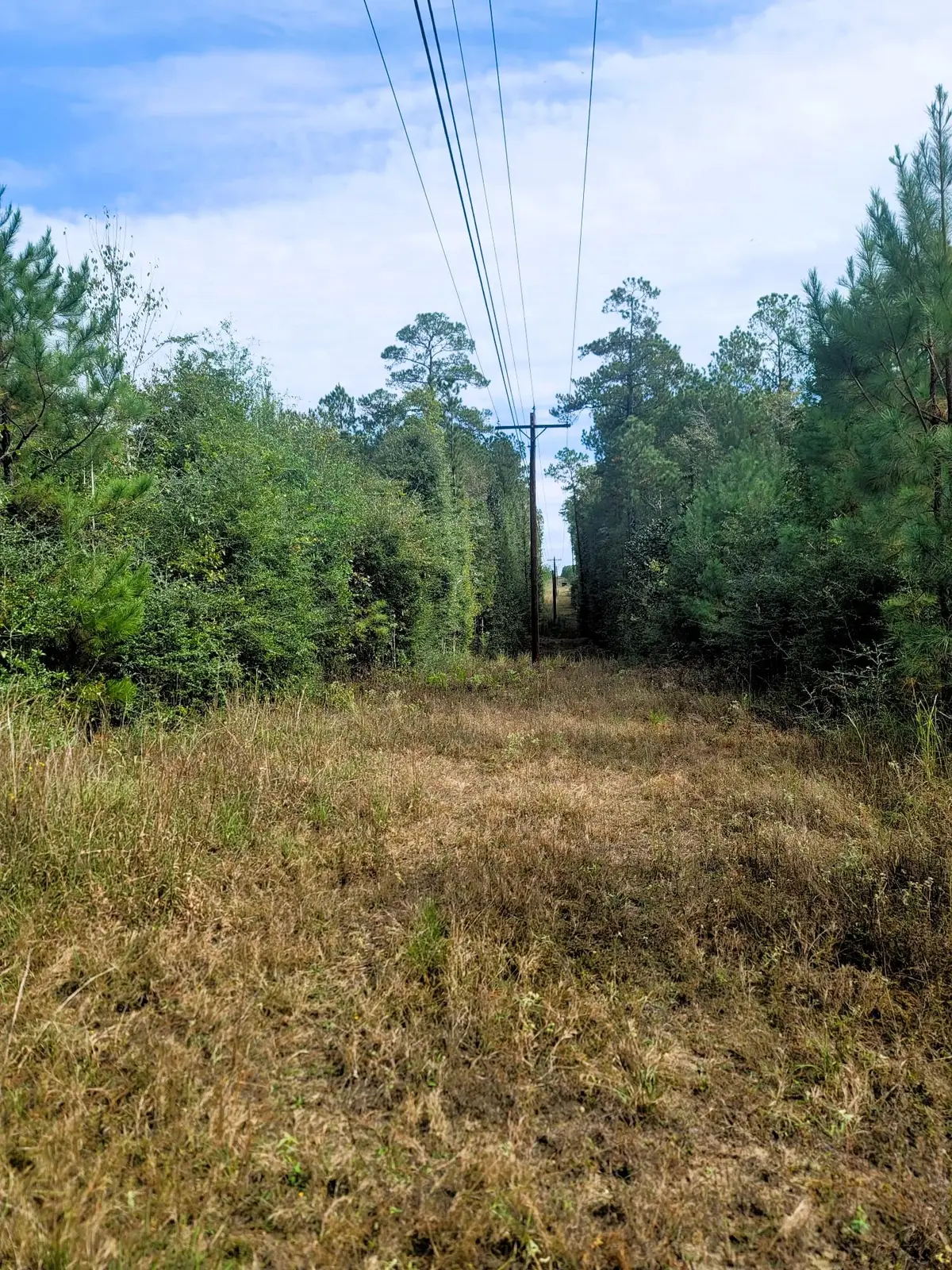 0000 Us Highway 190 E, Livingston, TX 77351 - #1