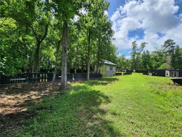 12123 Overhill Road, Plantersville, TX 77363