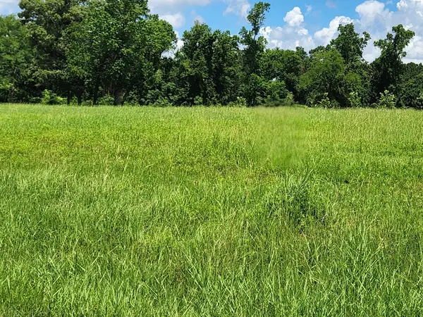 204 Bentwood Pond Trail, Montgomery, TX 77356