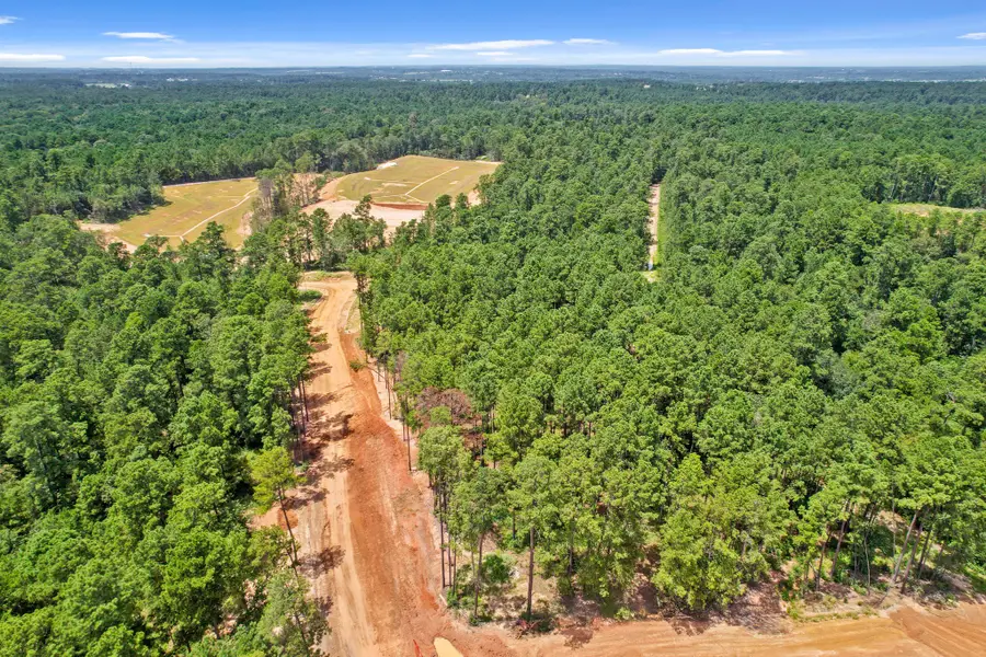4147 Augusta Drive, Montgomery, TX 77316 - #2