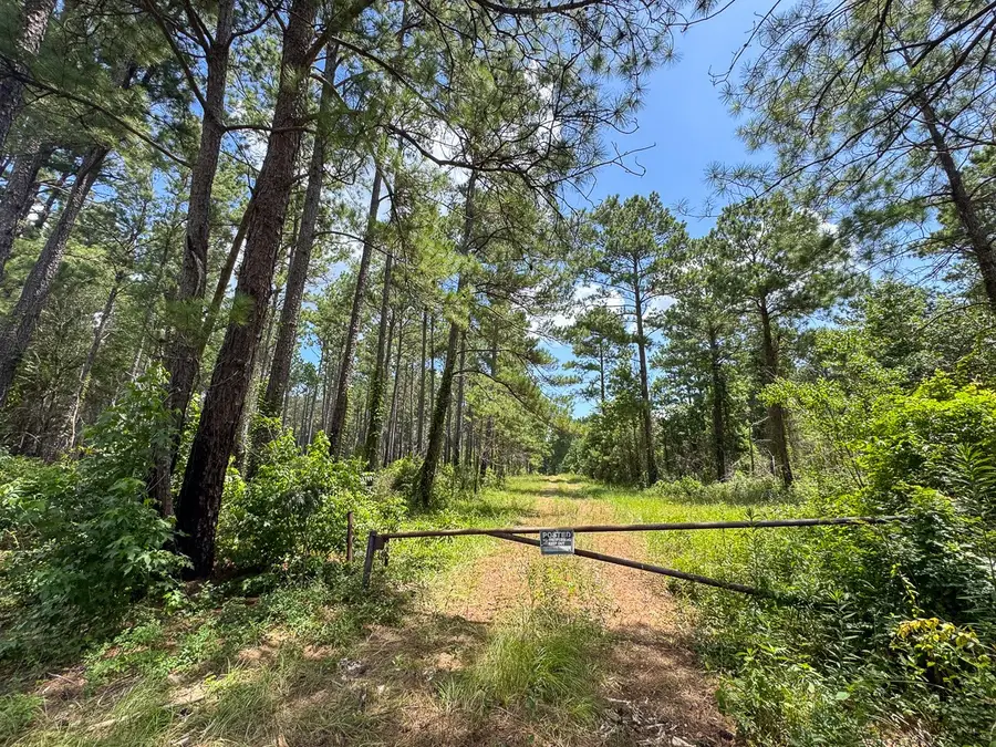 00 Fm 946, Oakhurst, TX 77359 - #2
