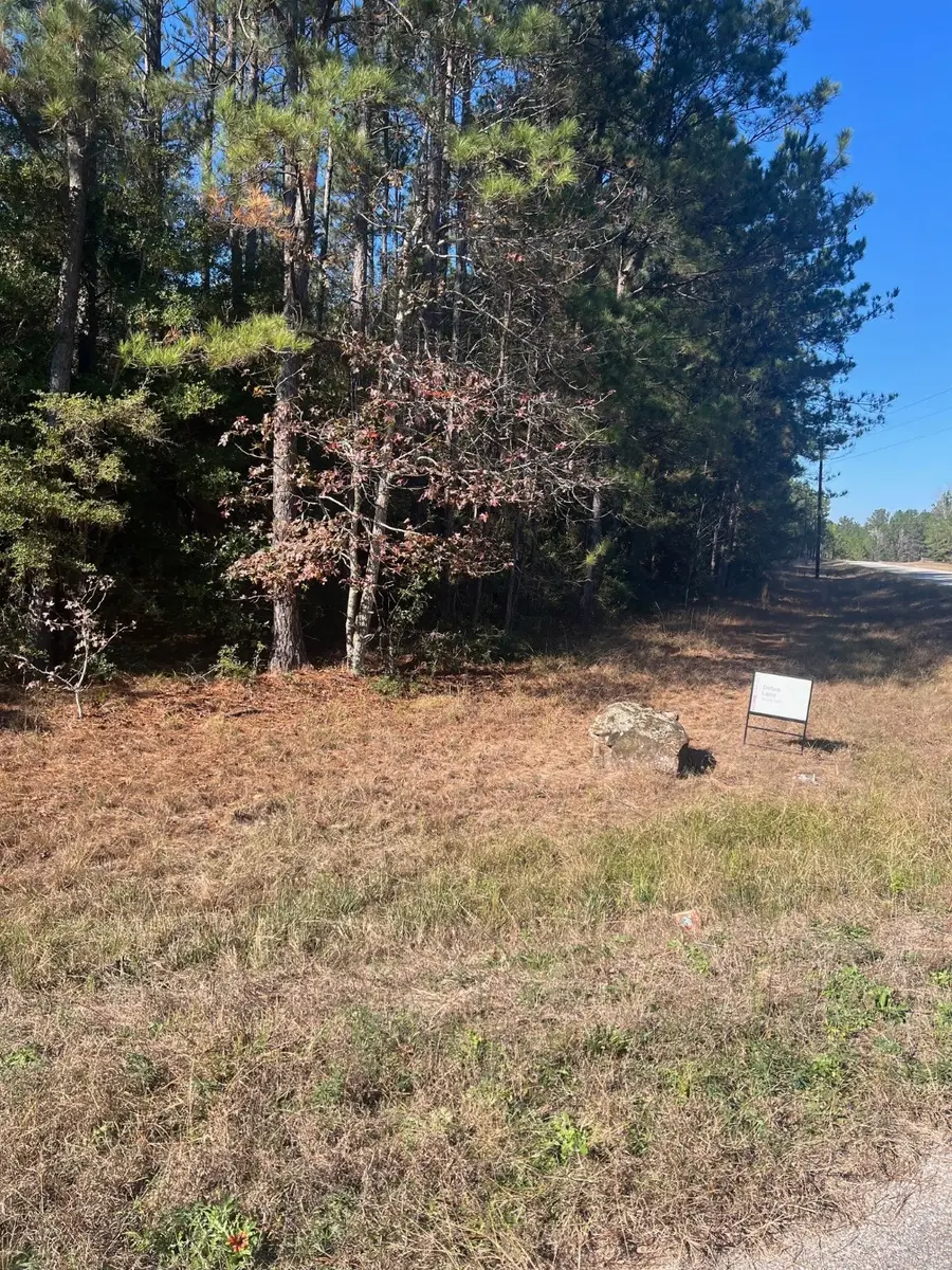 21240 Big Buck Drive, Cleveland, TX 77328 - Image #3