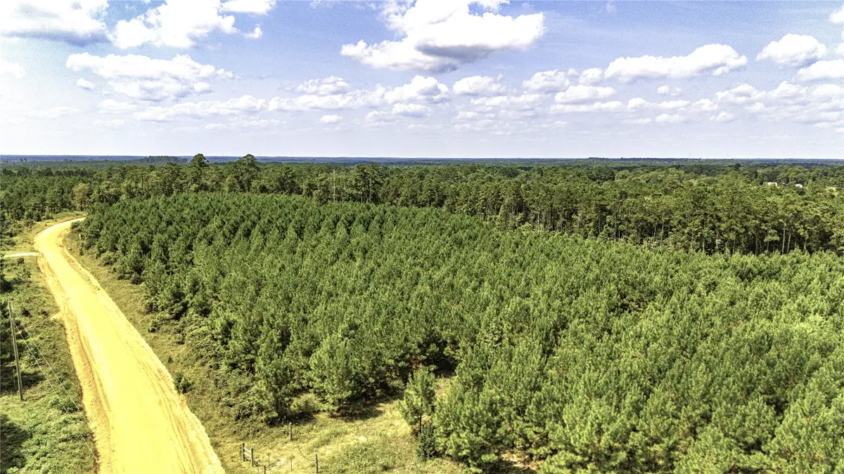 TBD Stutts Hill, Livingston, TX 77351 - Image #1