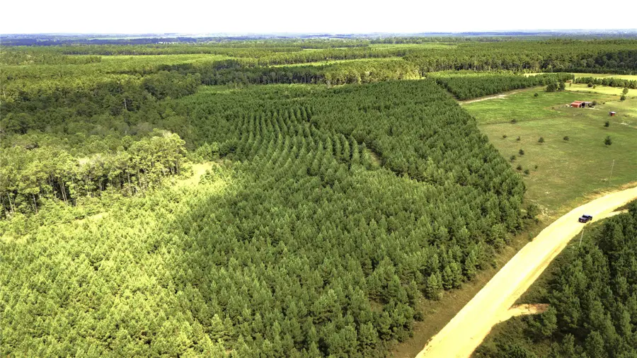 TBD Stutts Hill, Livingston, TX 77351 - Image #2