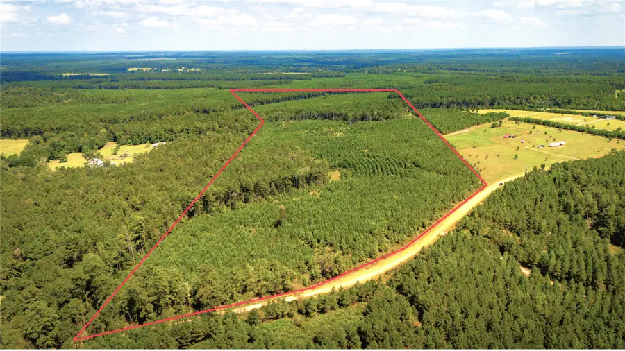 TBD Stutts Hill, Livingston, TX 77351 - Image #3