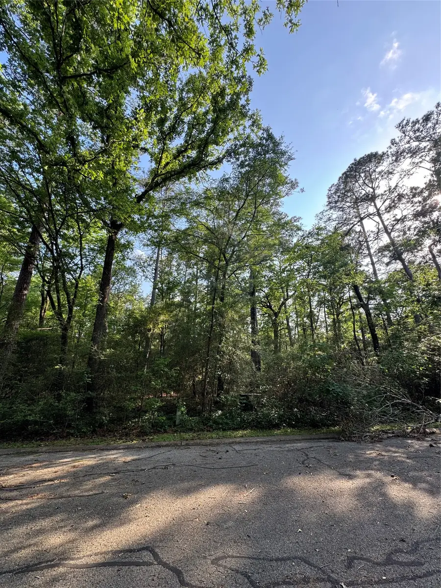 Sioux Court, Huntsville, TX 77320 - #2