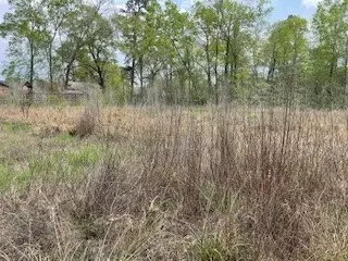 17135 Sprawling Oaks, Conroe, TX 77385 - #2